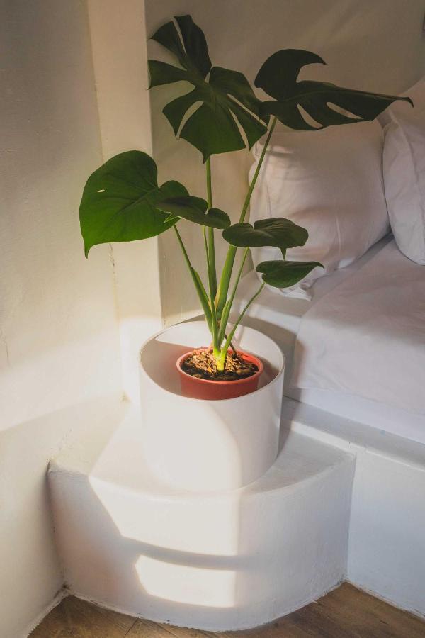 Flower House B&B 九份 エクステリア 写真